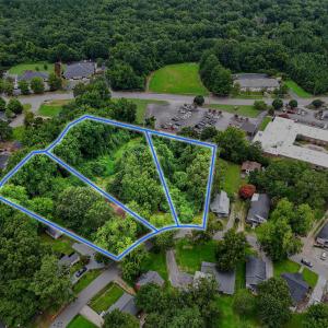 1-web-or-mls-DJI