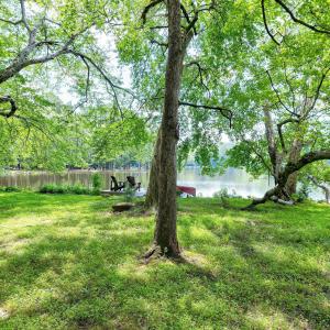 Lakeshore Scene-40