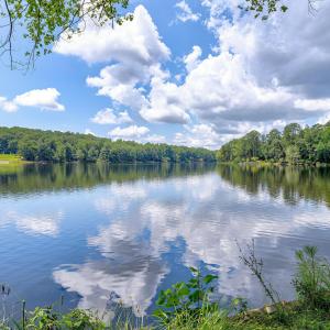Lakeshore Scene-35