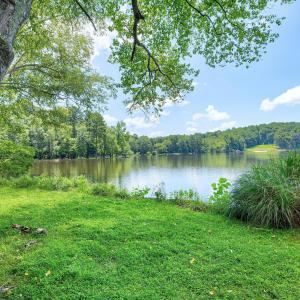 Lakeshore Scene-34