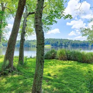 Lakeshore Scene-33