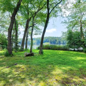 Lakeshore Scene-31