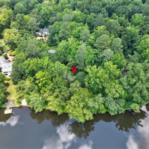Lakeshore Aerial-4