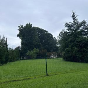 IMG_8668