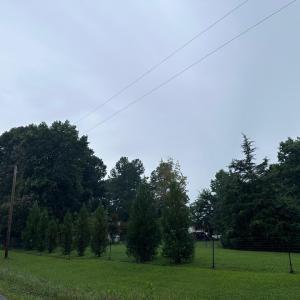 IMG_8666