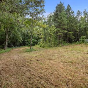 9-web-or-mls-P1077608