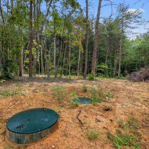 12-web-or-mls-P1077611