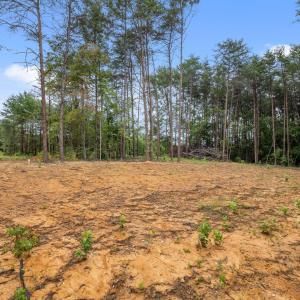 13-web-or-mls-P1077612