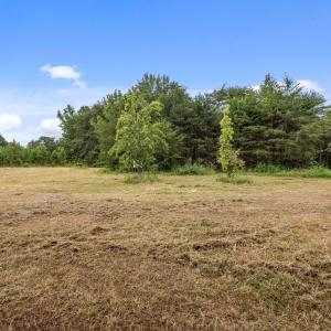 14-web-or-mls-P1077613