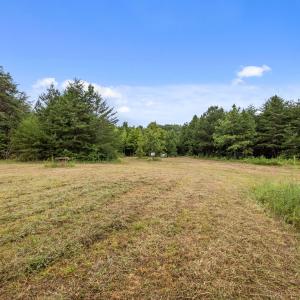 15-web-or-mls-P1077614
