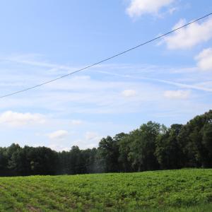 IMG_8871