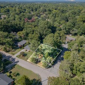 010_dji_0002-edit-edit_885