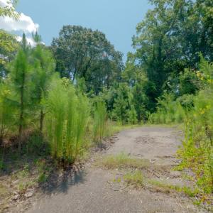 Fayetteville Tract Ground Still04