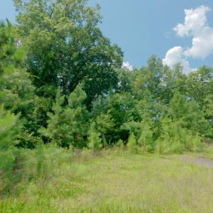 Fayetteville Tract Ground Still05