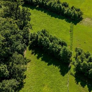 09-009-33VersaillesLn-Lot02-20250728