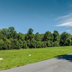 15-015-33VersaillesLn-Lot02-20250728