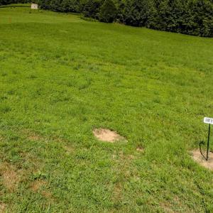 17-017-33VersaillesLn-Lot02-20250728