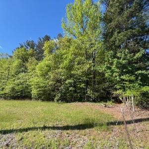 The Land aside the power easement