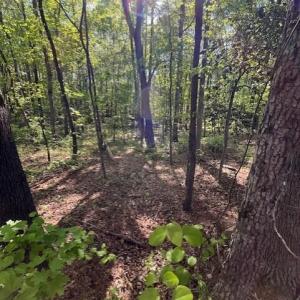 4302 Cheek Woods