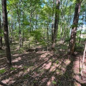 4304 Cheek towards easement