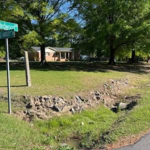 Ditch @ Ardsley & Redwood