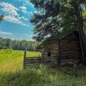 IMG_2914