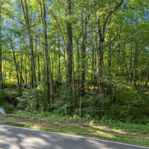 11-web-or-mls-DJI_20250808174834_0054_D