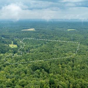01-Heron Pond Dr - Drone 01