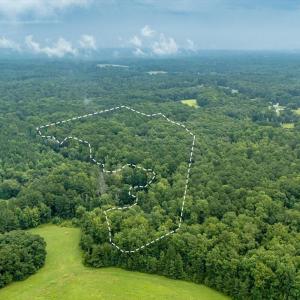 02-Heron Pond Dr - Drone 02