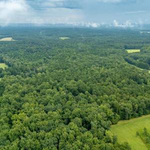 08-Heron Pond Dr - Drone 08