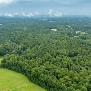 10-Heron Pond Dr - Drone 10