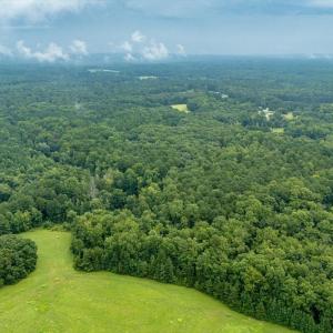 11-Heron Pond Dr - Drone 11
