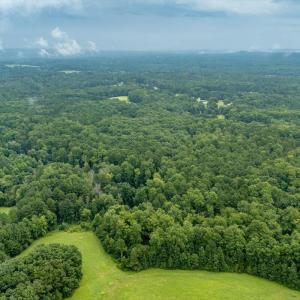 12-Heron Pond Dr - Drone 12