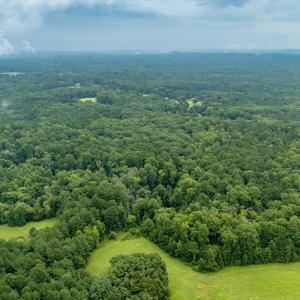 13-Heron Pond Dr - Drone 13