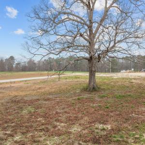 10-web-or-mls-DJI_0535