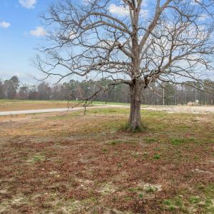 11-web-or-mls-DJI_0536