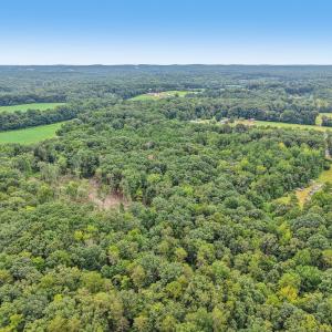 17-web-or-mls-Olivia Pope Way-S1208-017