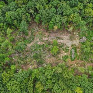 13-web-or-mls-Olivia Pope Way-S1208-013