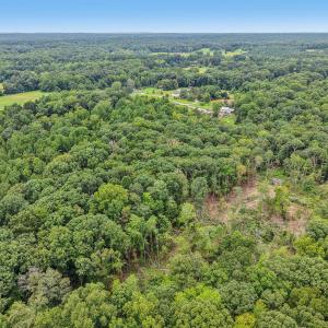 10-web-or-mls-Olivia Pope Way-S1208-010