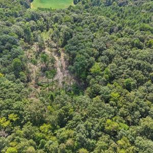 3-web-or-mls-Olivia Pope Way-S1908-003