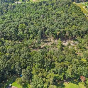 12-web-or-mls-Olivia Pope Way-S1908-012