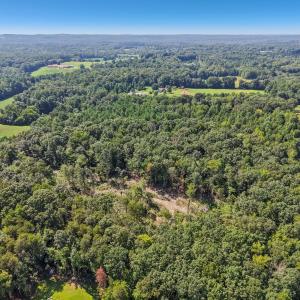 15-web-or-mls-Olivia Pope Way-S1908-015