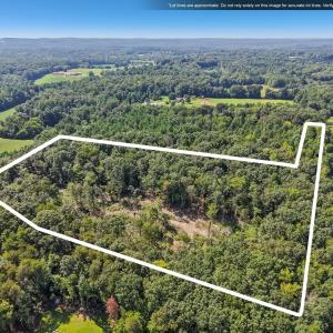 21-web-or-mls-Olivia Pope Way-S1908-017r