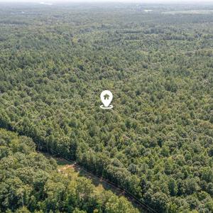 dji_0088-edit-edit_80