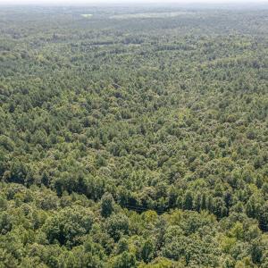 dji_0087-edit_185