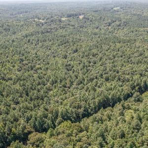 dji_0086-edit_587