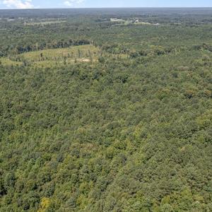 dji_0089-edit_847