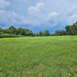 chriscoe.field