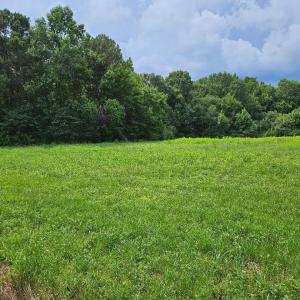 chriscoe.field2