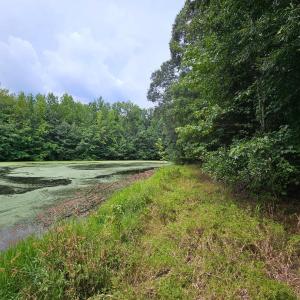 chriscoe.pond3